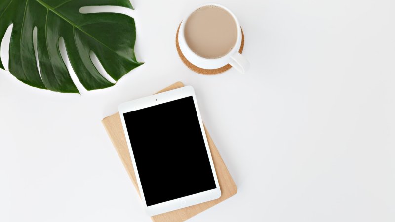 5 Ways Master Programmes Differ: MA vs. MSc