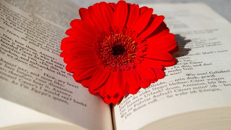Writing in English for University Study